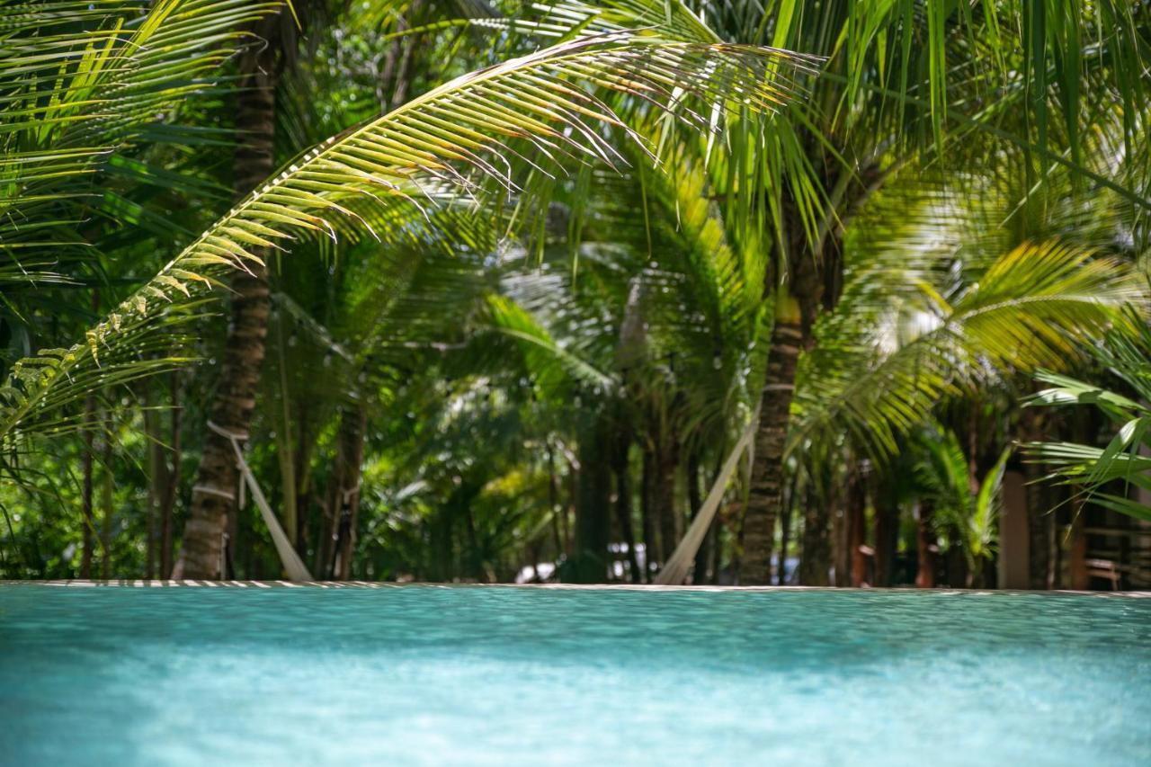 Hotel Buenavista Bacalar Jungle Experience Dış mekan fotoğraf
