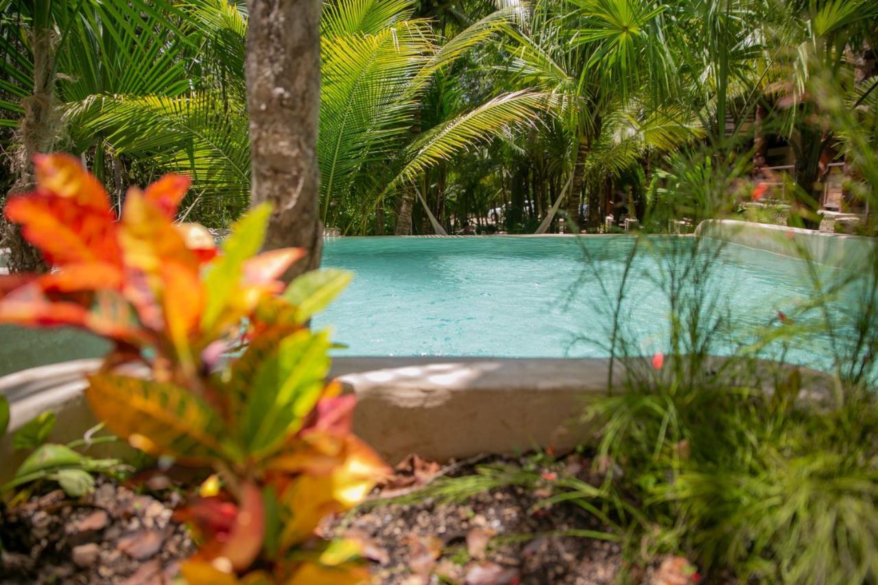 Hotel Buenavista Bacalar Jungle Experience Dış mekan fotoğraf