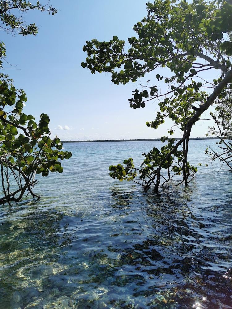 Hotel Buenavista Bacalar Jungle Experience Dış mekan fotoğraf